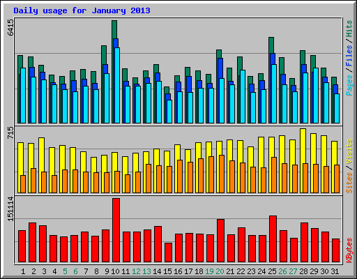 Daily usage for January 2013