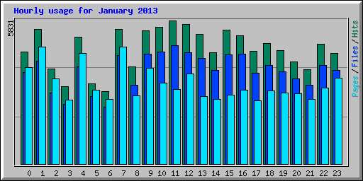 Hourly usage for January 2013